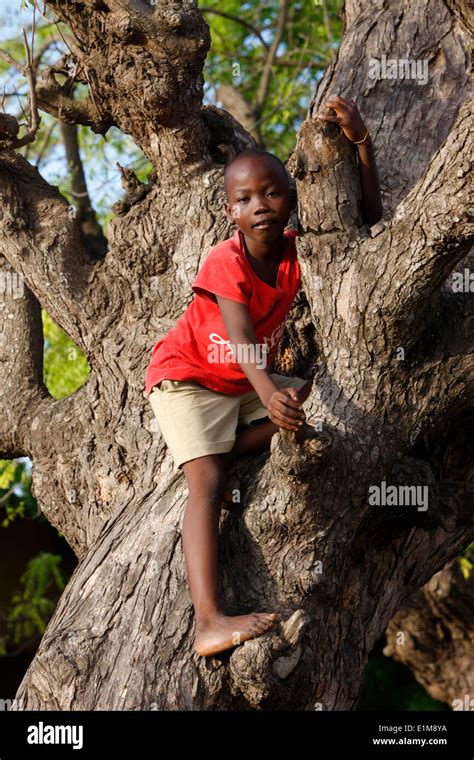 African Boy Climbing Tree Hi Res Stock Photography And Images Alamy