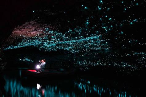 Waitomo Caves Vs Spellbound Cave Which Is The Best Glow Worm Cave In