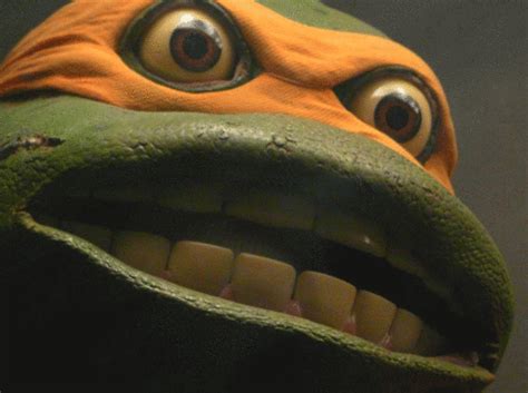 Mrw I Wear My Ninja Turtles Costume To Masturbate In Front Of My Neighbours Sprinklers At 3 34am