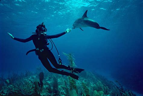 Interview Dr Sylvia Earle That Shelf