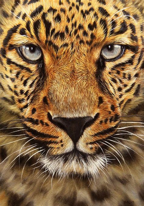 Leopard Painting By Jason Morgan