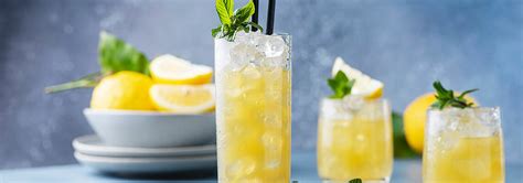 Vibrant Pickled Lemonade Recipe Flavrstream