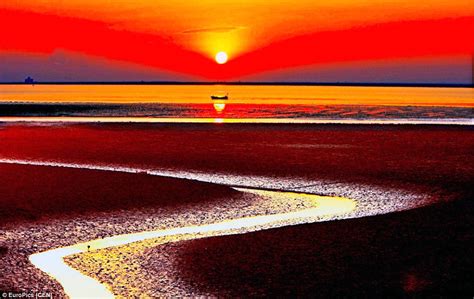 Tourists Flock To Chinas Panjin Red Beach That Turns Crimson Every