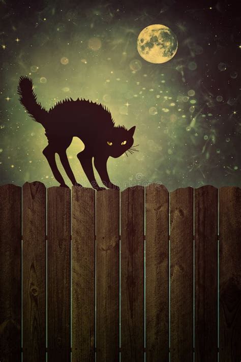 Tabby Cat Night Flight Jumps Over Fence Moon Light Cute Russian New