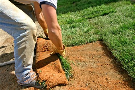 Preparing To Lay Sod How To Lay Sod On An Existing Lawn Hgtv Taking