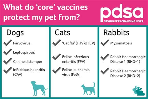 Why Vaccinating Your Pet Is Important Pdsa