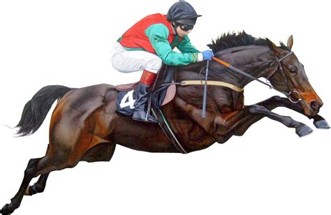 Race transparent background png image dimension: Racehorse Jumping transparent image