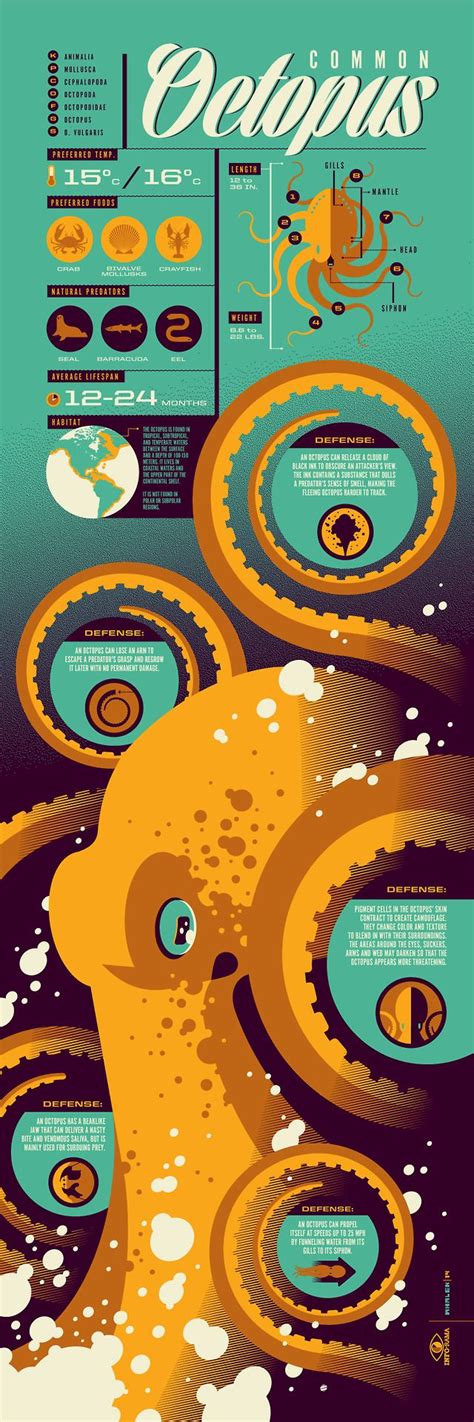 Various Amazing Infographic Art Created By Tom Whalen GeekTyrant
