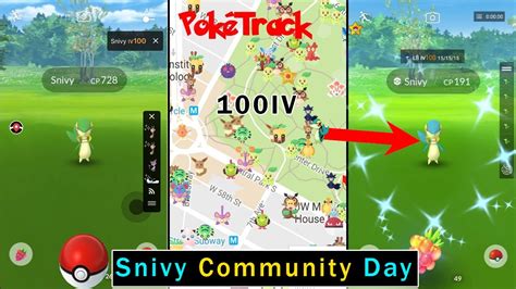 How To Catch Iv Snivy In Pokemon Go Snivy Community Day New