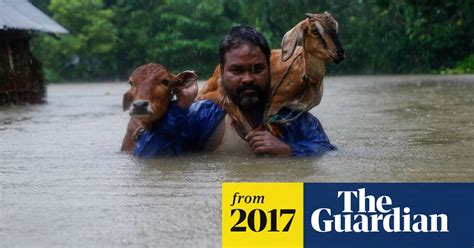 Floods And Devastation In India Nepal And Bangladesh In Pictures