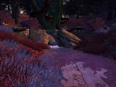 Unique Landscapes The Dark Forest At Oblivion Nexus Mods And Community