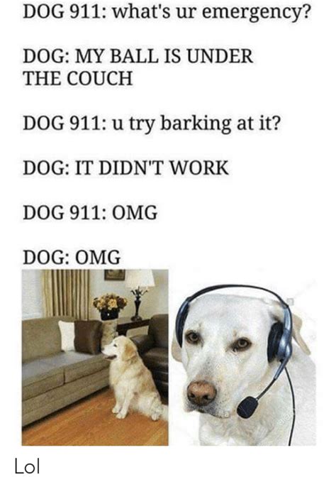 25 Best Memes About Omg Dog Omg Dog Memes