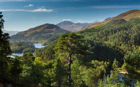 Glen Affric Gleann Afraig Is A Glen South West Of The Village Of