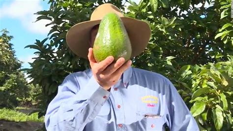 Giant Avocados On Sale In Australia Cnn Video