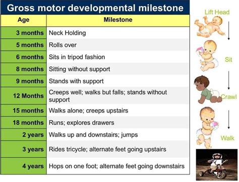 Developmental Milestones Baby Milestones Baby Eating Walking Alone