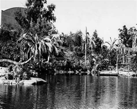 Gilligans Island Lagoon 1965