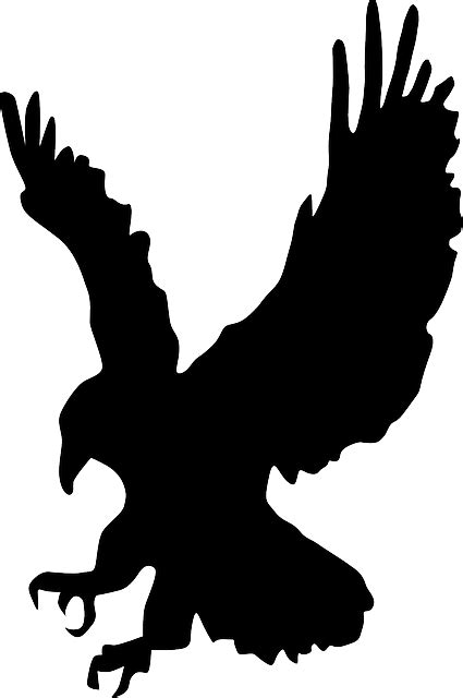 Download Hawk Eagle Bird Royalty Free Vector Graphic Pixabay