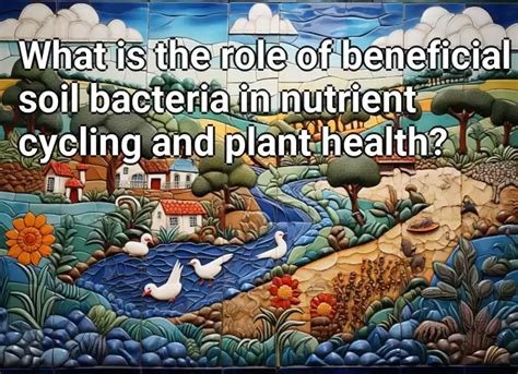 What Is The Role Of Beneficial Soil Bacteria In Nutrient Cycling And