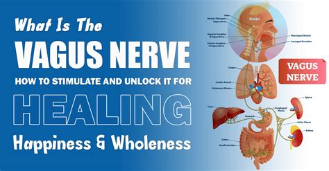 10 Ways To Stimulate And Unlock The Healing Power Of The Vagus Nerve