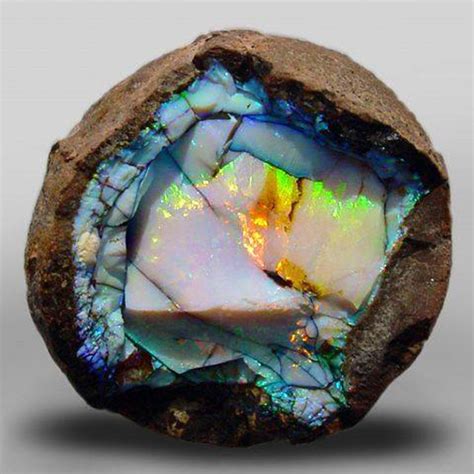 Behold A Rare Honeycomb Welo Opal Minerals And Gemstones Gems And