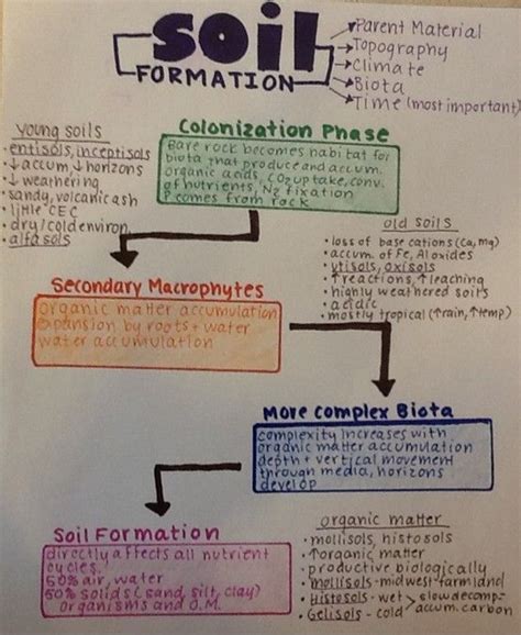 Various factors of soil formation and the hos t of processes that result in the. Soil Formation | Soil, Study notes, Topography