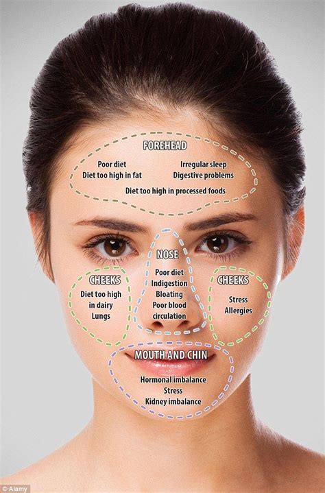 What is acne face mapping? Face mapping your acne and what it means on your face ...