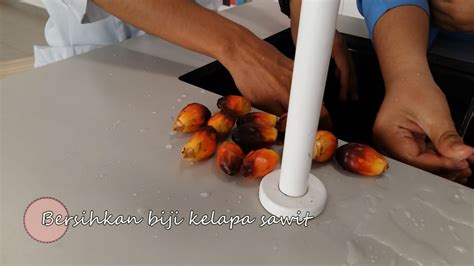 We did not find results for: Langkah Proses Pengekstrakan Minyak Kelapa Sawit