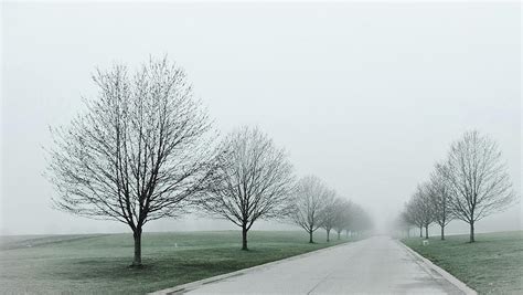 Foggy Spring Morning Photograph By Randy Schoff Fine Art America
