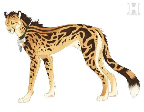 King Cheetah Design By Hioshiru On Deviantart Cheetah Drawing