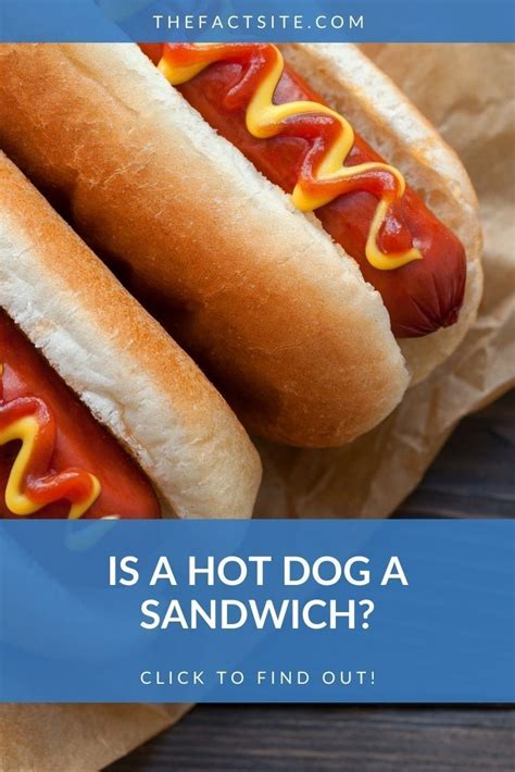 Is A Hot Dog A Sandwich Now Thats A Burning Question That Will