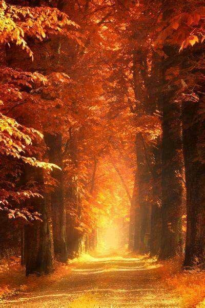 Pin By Ana Rebeca Sanchez On Fall Is Beautiful Autumn Landscape