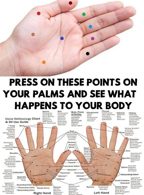 Palms Press On These Points On Your Palms To Combat Diseases Reflexology Hand Reflexology