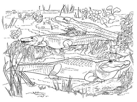 Of baby crocodile coloring pages are a fun way for kids of all ages to develop creativity, focus, motor skills and color recognition. Coloriage Crocodiles dans la nature dessin gratuit à imprimer