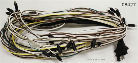 This seems to happen to all of them. Triton 08427 Snowmobile Trailer Wire Harness | TRITON-08427 | Hanna Trailer Supply