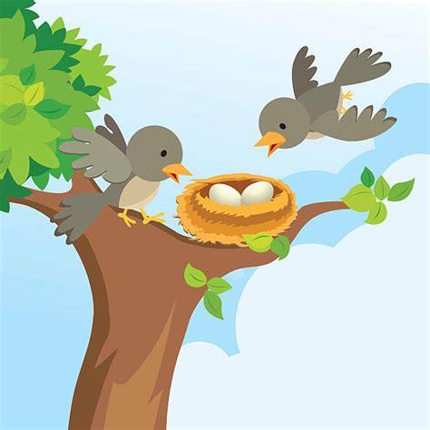 Bird In Tree Clipart 101 Clip Art