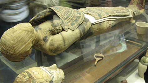 Possible Cancer Detected In Ancient Egyptian Mummy