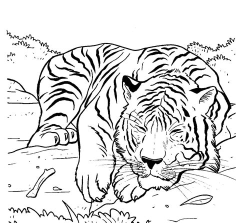 Some of the coloring page names are tiger coloring for kids animal coloring coloring to, tiger coloring for kids tiger drawing tiger drawing for kids easy drawings, wild cat coloring m9734 big cat coloring rescue wild cats realistic co wild cat, cute baby tiger coloring, tiger coloring for kids tiger drawing tiger. Tiger Sleeping Coloring Pages For Kids #gfN : Printable ...