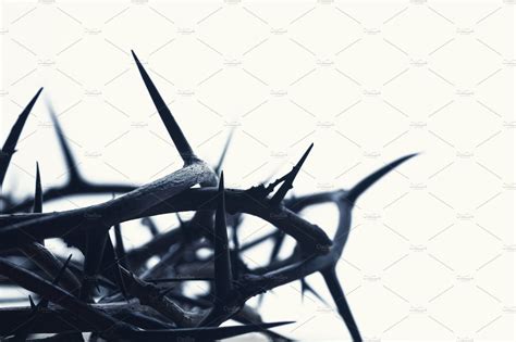 Crown Of Thorns By Javier Art Photography On Creativemarket