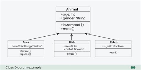 Class Diagram Unified Modeling Language Uml Geeksforgeeks