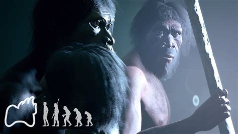 Homo Erectus Ergaster Final Evolution Leap And Cinematics Ancestors The Humankind Odyssey