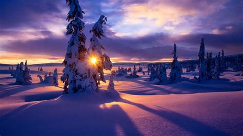 Winter Sunset Wallpaper And Background Image 1366x768