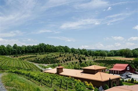 25 Of The Best North Carolina Wineries And Vineyards