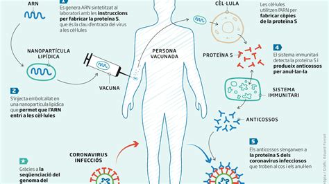 Optimisme Prudent Sobre La Vacuna De Moderna
