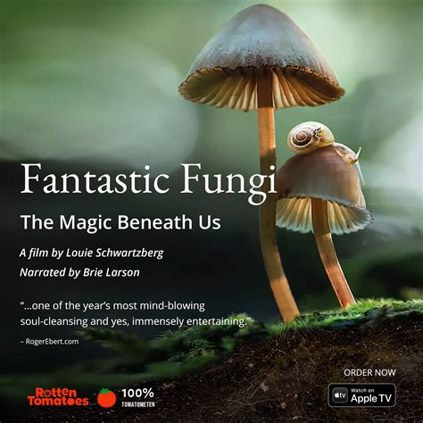 Fantastic Fungi A Film By Louie Schwartzberg On Mycelial Connection