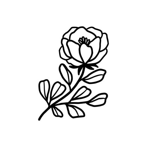 Vintage Hand Drawn Peony And Rose Flower Line Art Vector Illustration