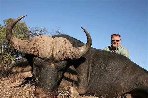 Trophy Hunting The Buffalo In South Africa Ash Adventures