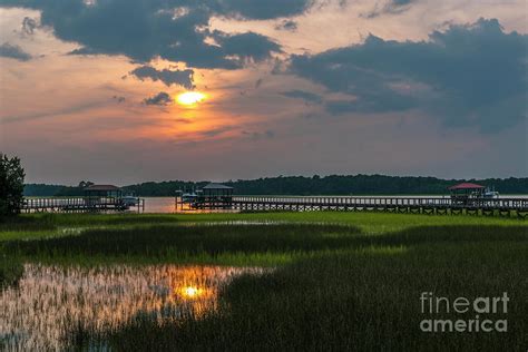 Thriving Beauty Of The Lowcountry Photograph By Dale Powell Pixels