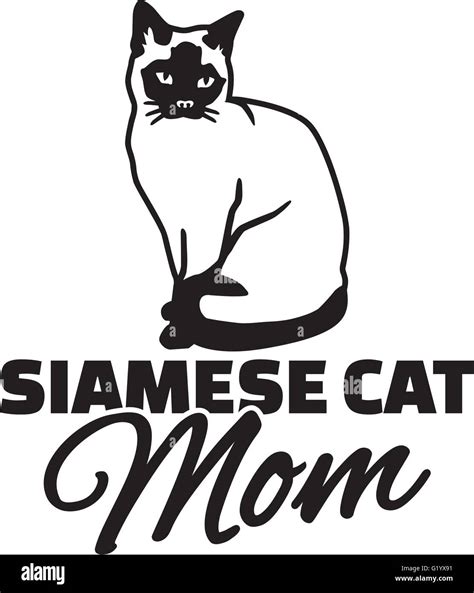 siamese cat mom stock vector image and art alamy