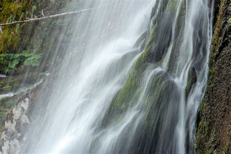 Mountain Stream In The Spring Stock Image Image Of Vegetation