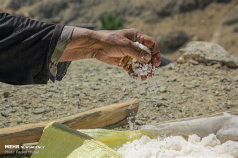 Mehr News Agency Making A Living By Harvesting Salt By Hand